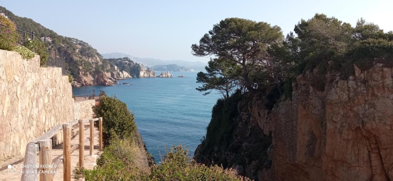 Villa Blanca 10 Minutos De La Playa Costa Brava マサネッド・ダ・ラ・セルバ エクステリア 写真